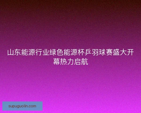 山东能源行业绿色能源杯乒羽球赛盛大开幕热力启航 山东能源行业绿色能源杯乒羽球赛盛大开幕热力启航