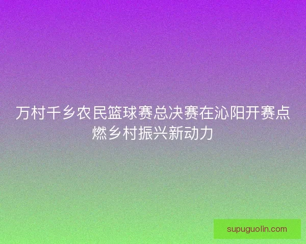 万村千乡农民篮球赛总决赛在沁阳开赛点燃乡村振兴新动力 万村千乡农民篮球赛总决赛在沁阳开赛点燃乡村振兴新动力